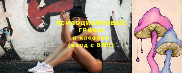 spice Арсеньев