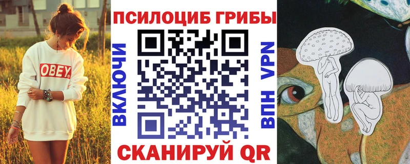 Галлюциногенные грибы Cubensis  это клад  Райчихинск 